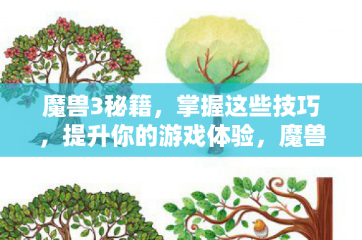 魔兽3秘籍，掌握这些技巧，提升你的游戏体验，魔兽3秘籍，提升游戏体验的必备技巧