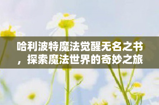 哈利波特魔法觉醒无名之书图片