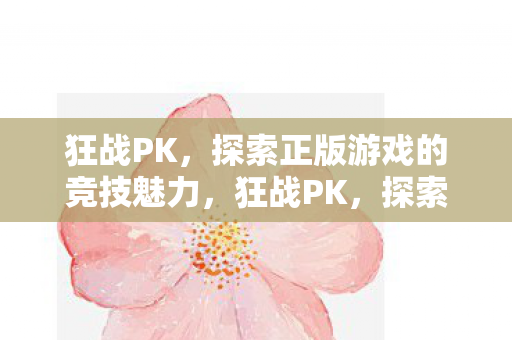 探索正版游戏的竞技魅力图片