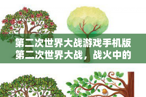 第二次世界大战游戏手机版第二次世界大战图片