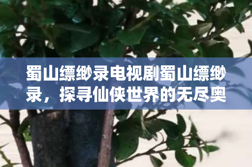 蜀山缥缈录电视剧蜀山缥缈录图片