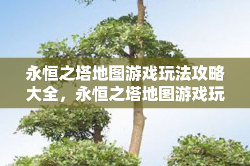 永恒之塔地图游戏玩法攻略大全图片