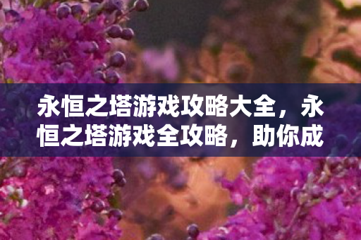 永恒之塔游戏攻略大全图片