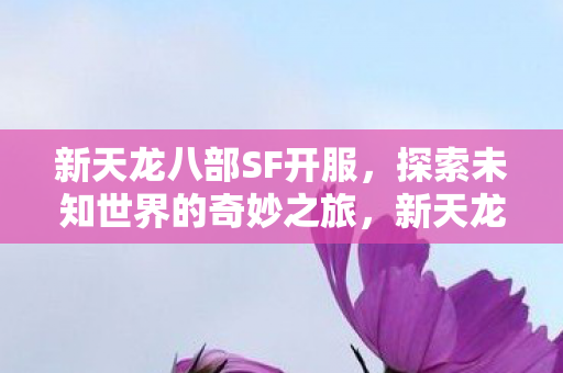 探索未知世界的奇妙之旅图片