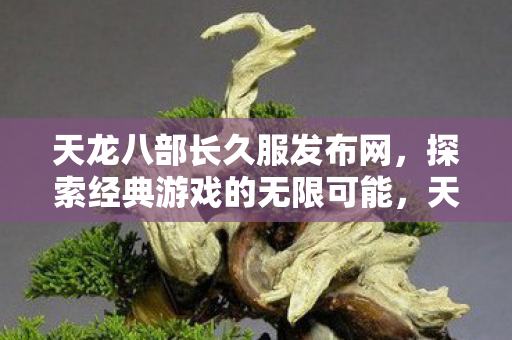 探索经典游戏的无限可能图片