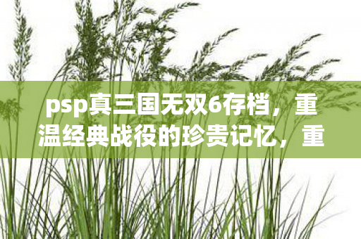 PSP真三国无双6存档珍贵记忆图片