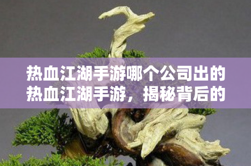 热血江湖手游哪个公司出的热血江湖手游图片