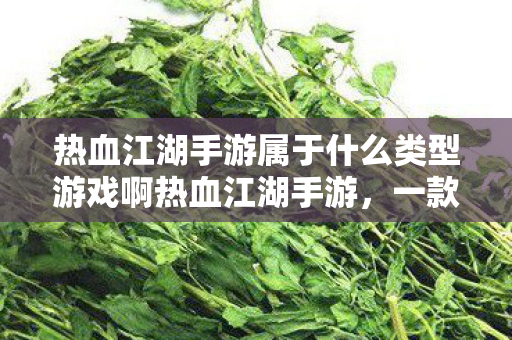 热血江湖手游属于什么类型游戏啊热血江湖手游图片
