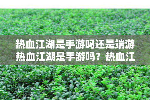 热血江湖是手游吗还是端游热血江湖是手游吗图片