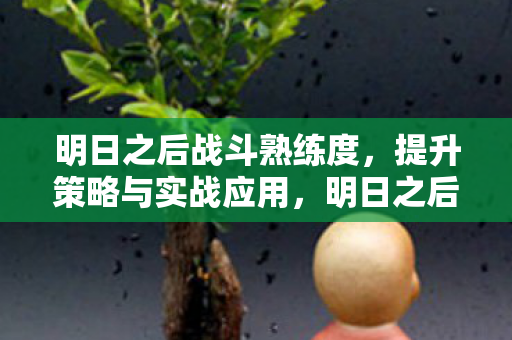 明日之后战斗熟练度,提升策略与实战应用,明日之后,战斗熟练度提升策略与实战应用指南 明日之后战斗熟练度,提升策略与实战应用,明日之后,战斗熟练度提升策略与实战应用指南