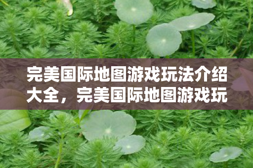 完美国际地图游戏玩法介绍大全图片