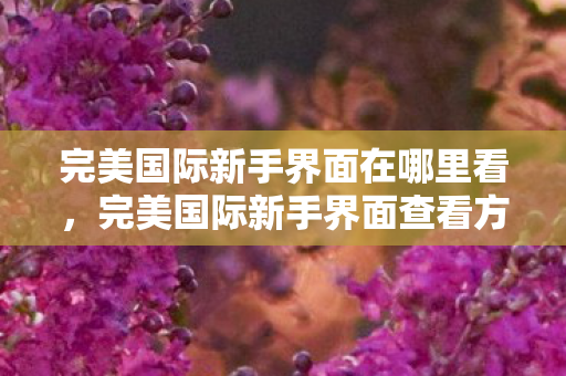 完美国际新手界面在哪里看图片