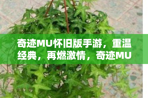 奇迹MU怀旧版手游图片