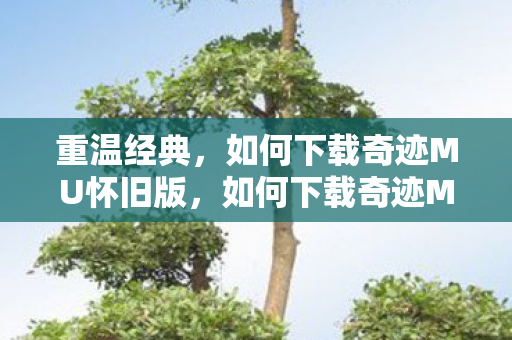 如何下载奇迹MU怀旧版重温经典图片