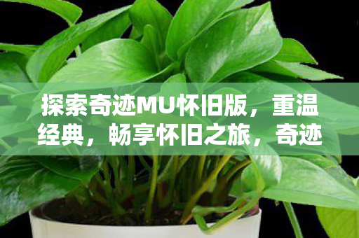探索奇迹MU怀旧版图片