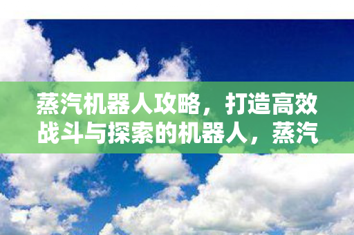蒸汽机器人攻略,打造高效战斗与探索的机器人,蒸汽机器人打造指南,高效战斗与探索全攻略 蒸汽机器人攻略,打造高效战斗与探索的机器人,蒸汽机器人打造指南,高效战斗与探索全攻略