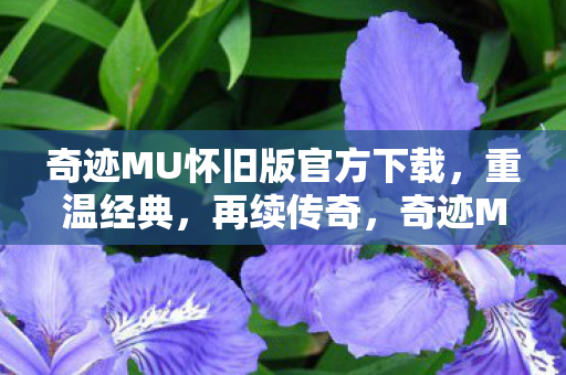 奇迹MU怀旧版官方下载图片