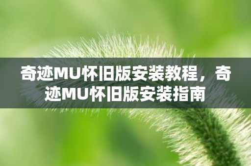 奇迹MU怀旧版安装教程图片