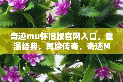 奇迹mu怀旧版官网入口图片