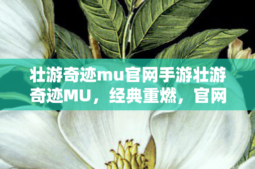壮游奇迹mu官网手游壮游奇迹MU图片