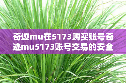 奇迹mu在5173购买账号奇迹mu5173账号交易的安全性探讨图片