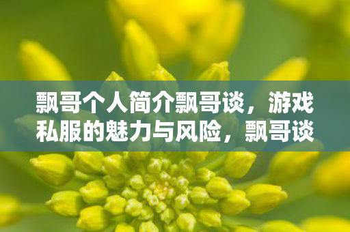 游戏私服的魅力与风险图片