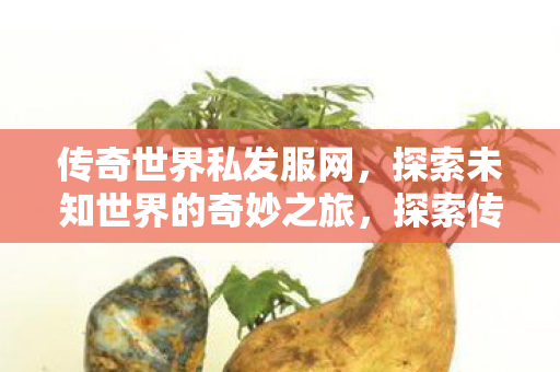 探索未知世界的奇妙之旅图片