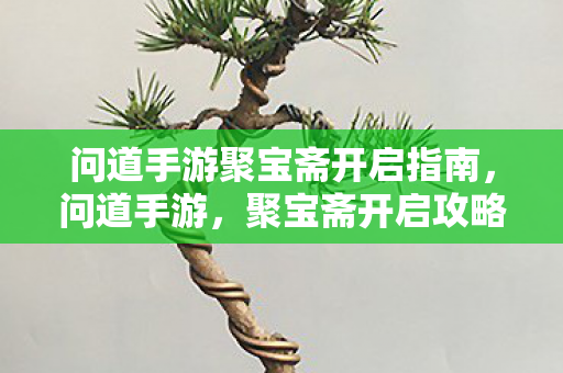 问道手游聚宝斋开启指南,问道手游,聚宝斋开启攻略 问道手游聚宝斋开启指南,问道手游,聚宝斋开启攻略