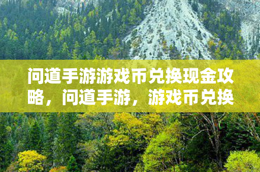 问道手游游戏币兑换现金攻略，问道手游，游戏币兑换现金攻略