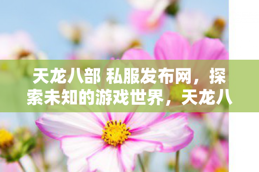 天龙八部 私服发布网图片