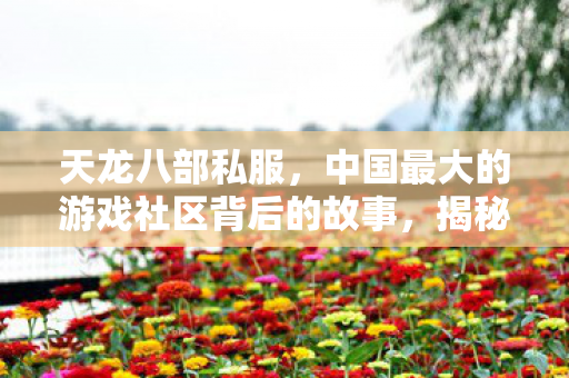 中国最大游戏社区天龙八部私服背后的故事图片