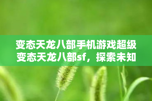 变态天龙八部手机游戏超级变态天龙八部sf图片