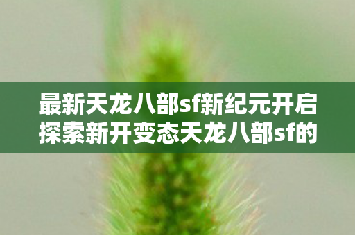最新天龙八部sf新纪元开启探索新开变态天龙八部sf的无限可能图片