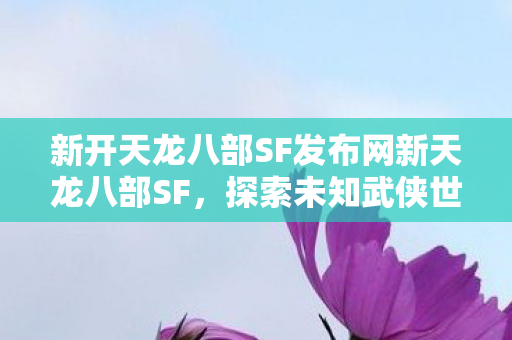 新开天龙八部SF发布网新天龙八部SF图片