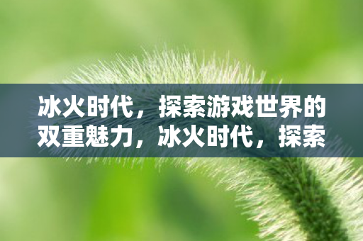 探索游戏世界的双重魅力图片