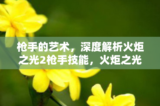 深度解析火炬之光2枪手技能图片