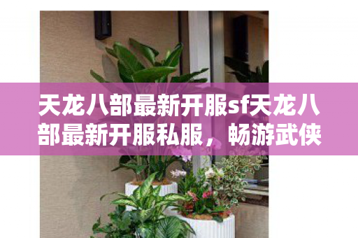 天龙八部最新开服sf天龙八部最新开服私服图片