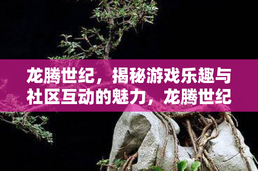 揭秘游戏乐趣与社区互动的双重魅力图片
