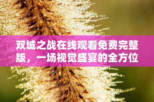 双城之战在线观看免费完整版图片
