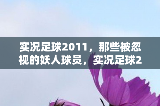 被忽视的妖人球员大盘点图片