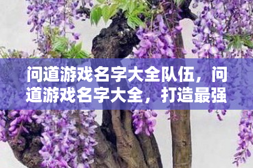 问道游戏名字大全队伍,问道游戏名字大全,打造最强队伍 问道游戏名字大全队伍,问道游戏名字大全,打造最强队伍