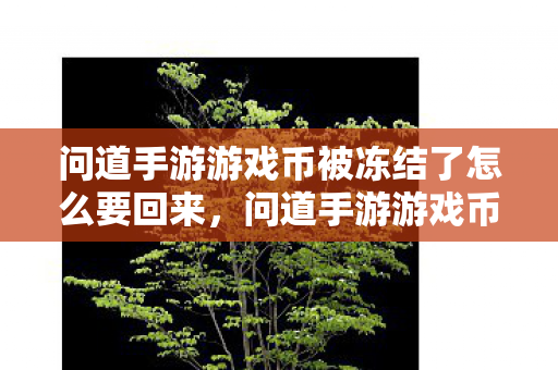 问道手游游戏币被冻结了怎么要回来，问道手游游戏币被冻结如何解冻？
