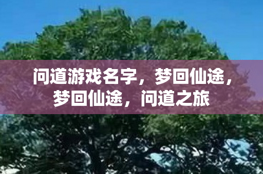 问道游戏名字，梦回仙途，梦回仙途，问道之旅