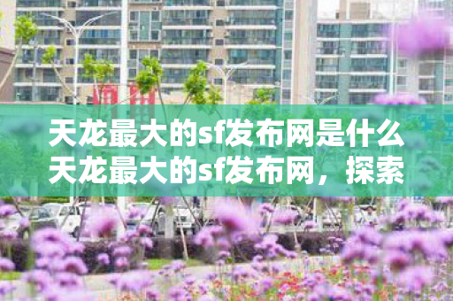 天龙最大的sf发布网是什么天龙最大的sf发布网图片