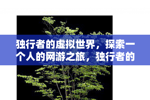 探索一个人的网游之旅图片