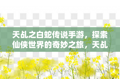 探索仙侠世界的奇妙之旅图片