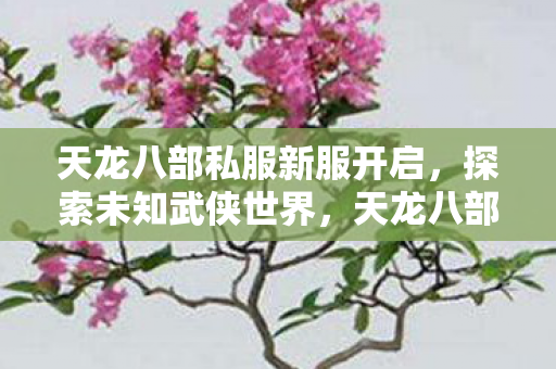 天龙八部私服新服开启图片