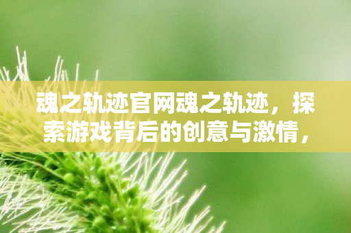 探索游戏背后的创意与激情图片