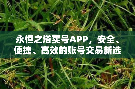 永恒之塔账号交易新选择图片