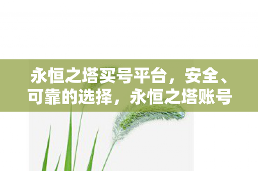 永恒之塔账号交易平台图片